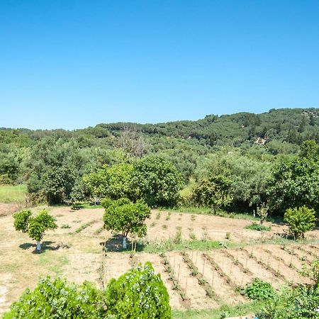 Vassilis Paradise Garden Aparthotel Agios Georgios Pagon Zewnętrze zdjęcie