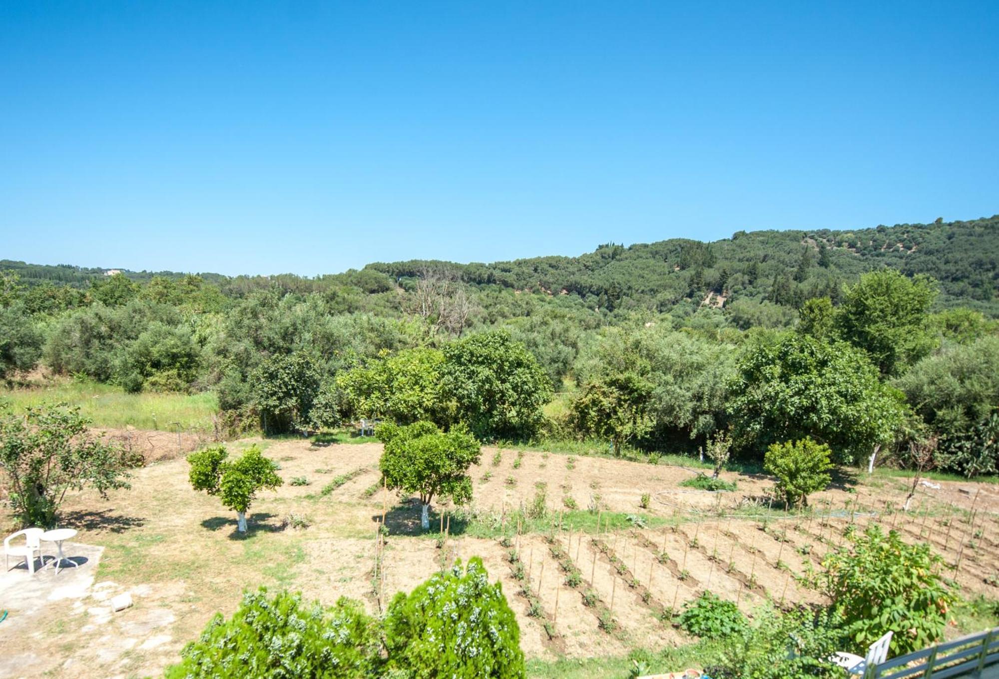Vassilis Paradise Garden Aparthotel Agios Georgios Pagon Zewnętrze zdjęcie